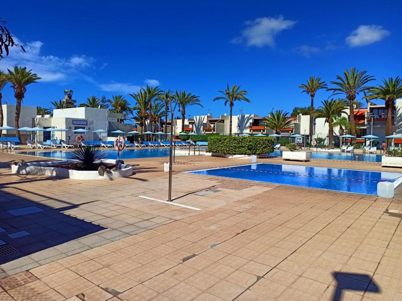 Appartement In The South Of Tenerife In The *