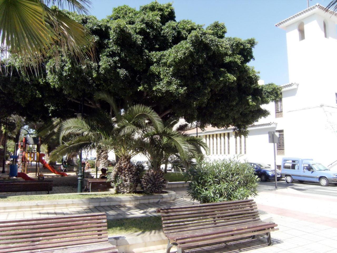 In The South Of Tenerife In The * Costa Del Silencio