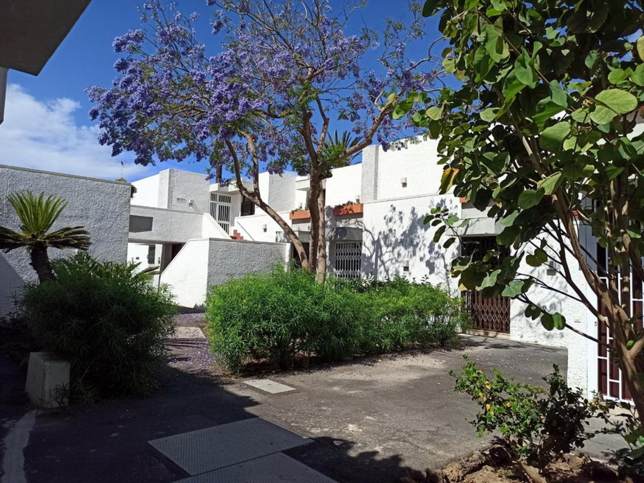 In The South Of Tenerife In The Costa Del Silencio