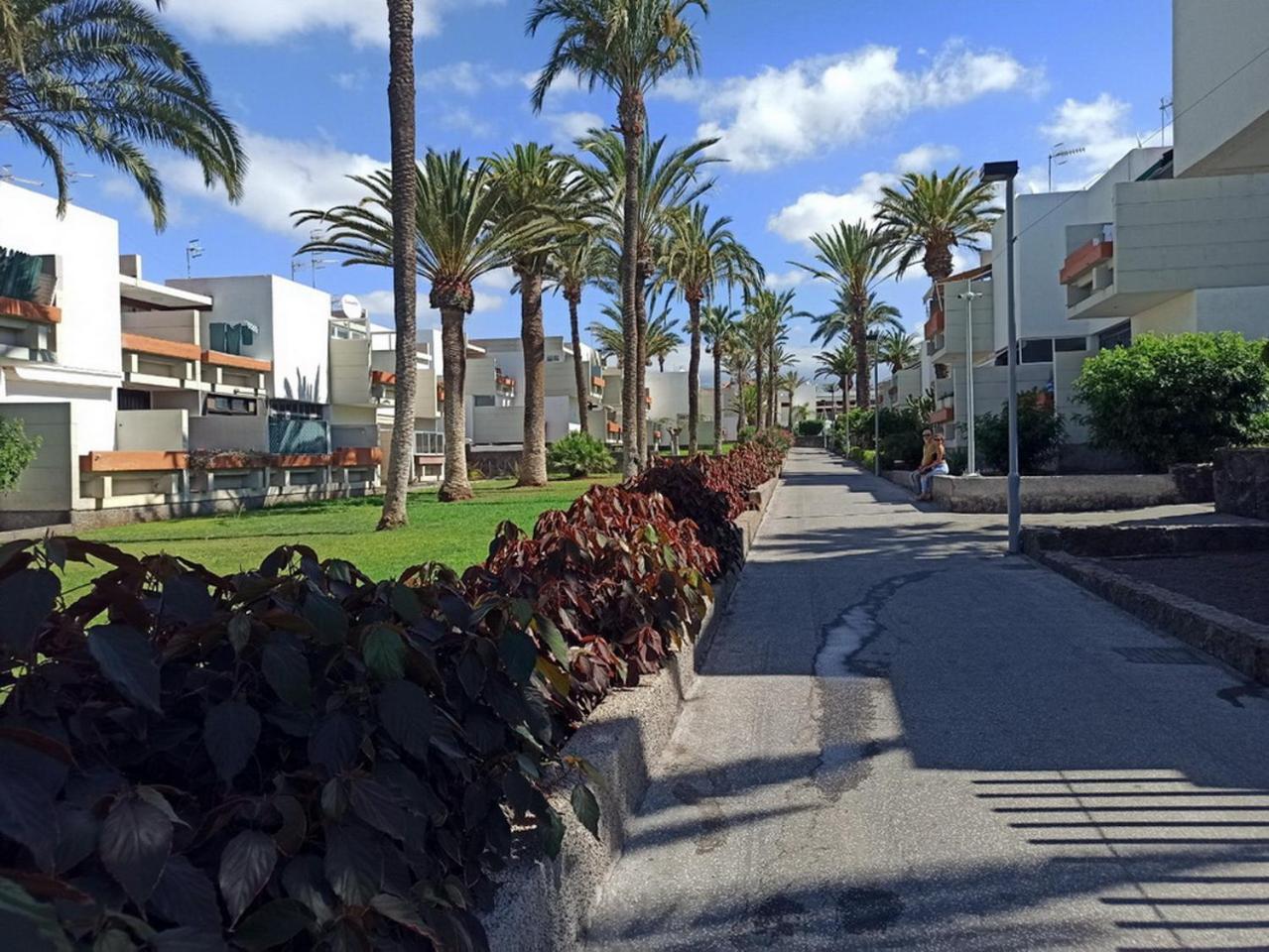 Apartament In The South Of Tenerife In The Costa Del Silencio
