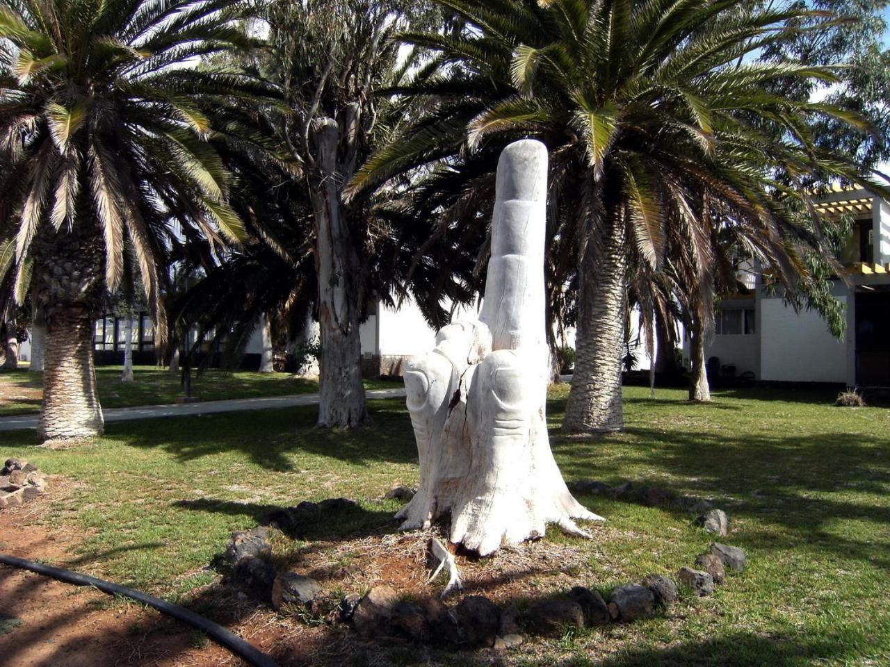 In The South Of Tenerife In The * Costa Del Silencio