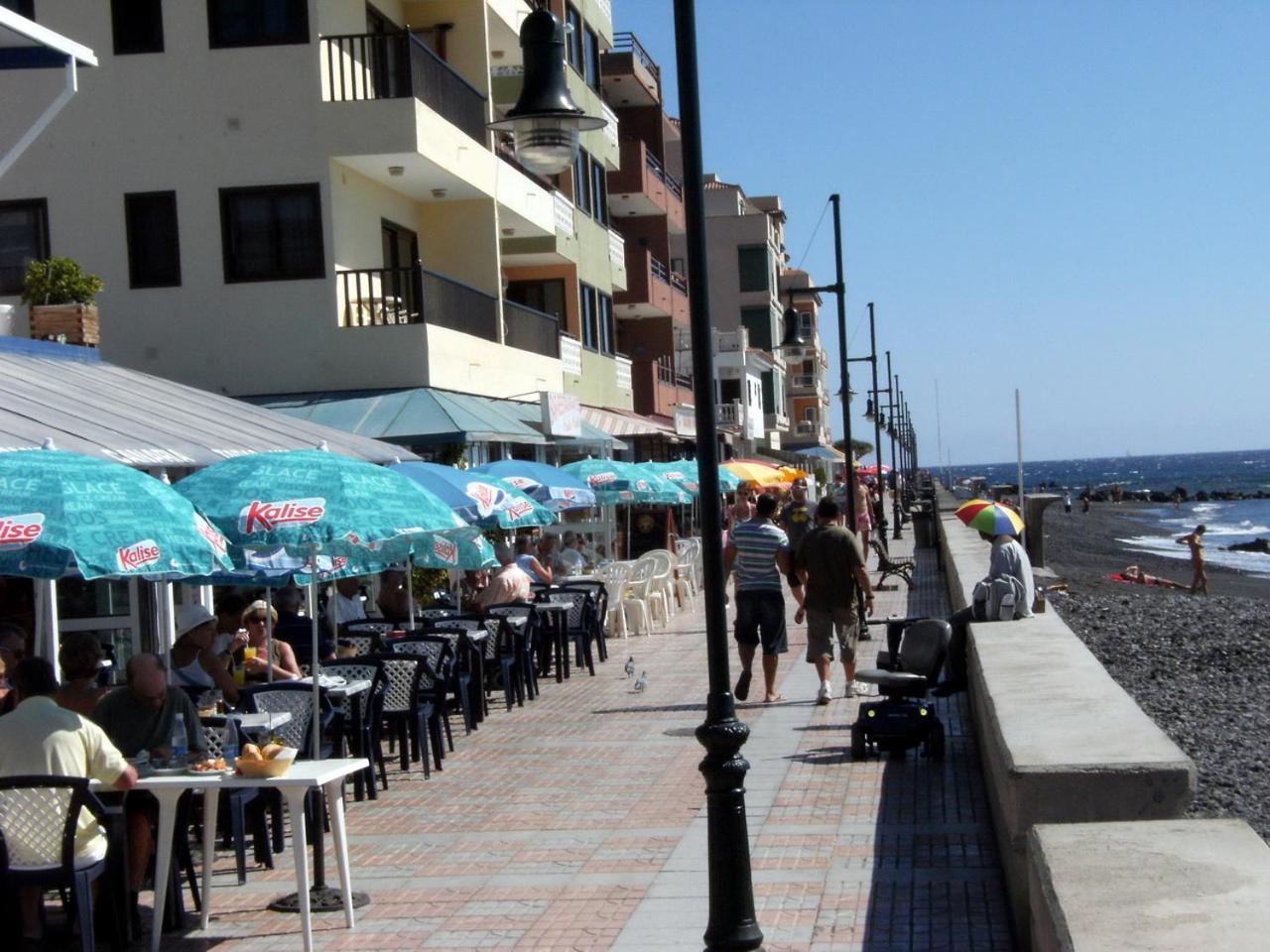 In The South Of Tenerife In The Apartament *