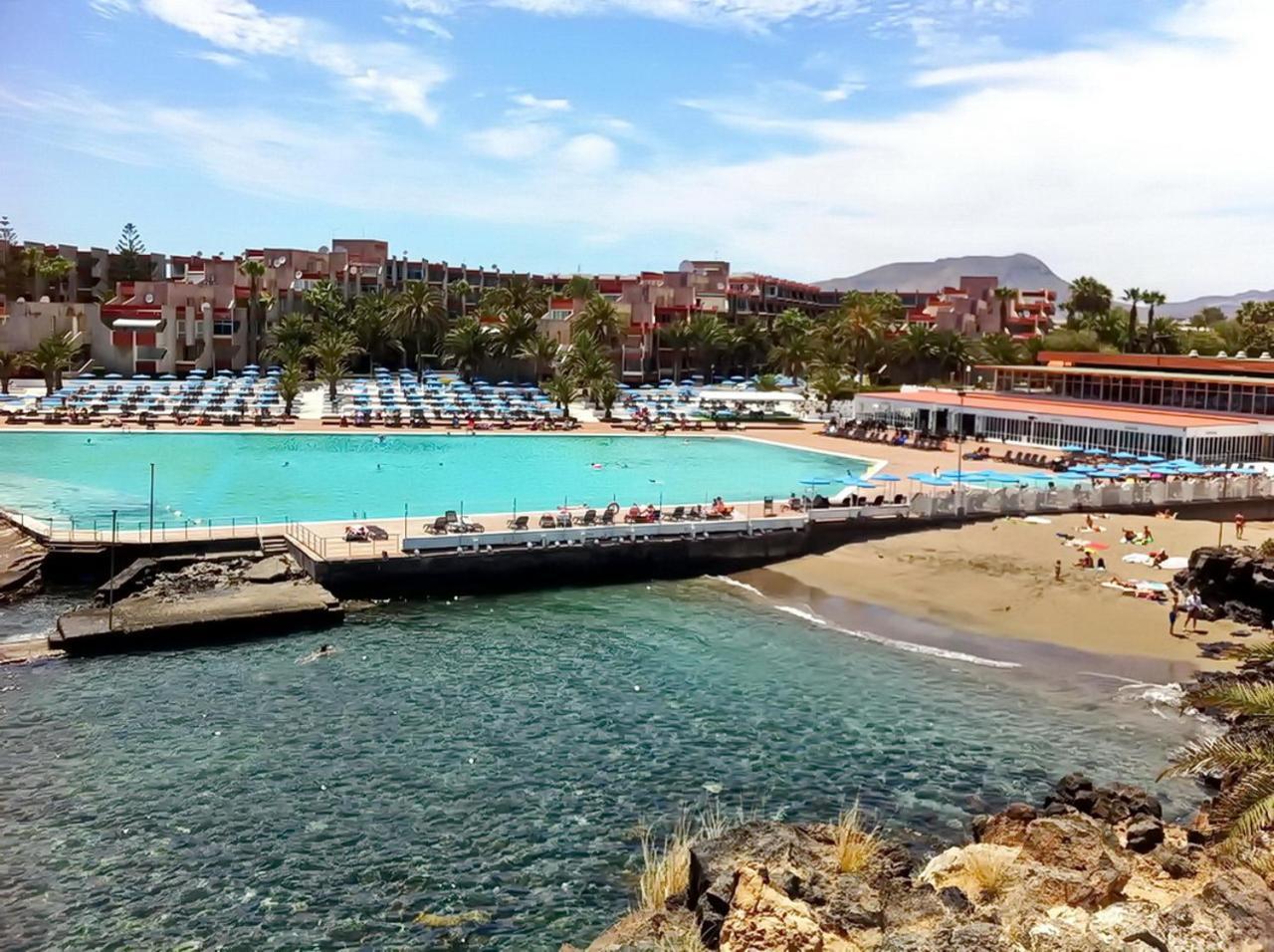 In The South Of Tenerife In The Apartament *