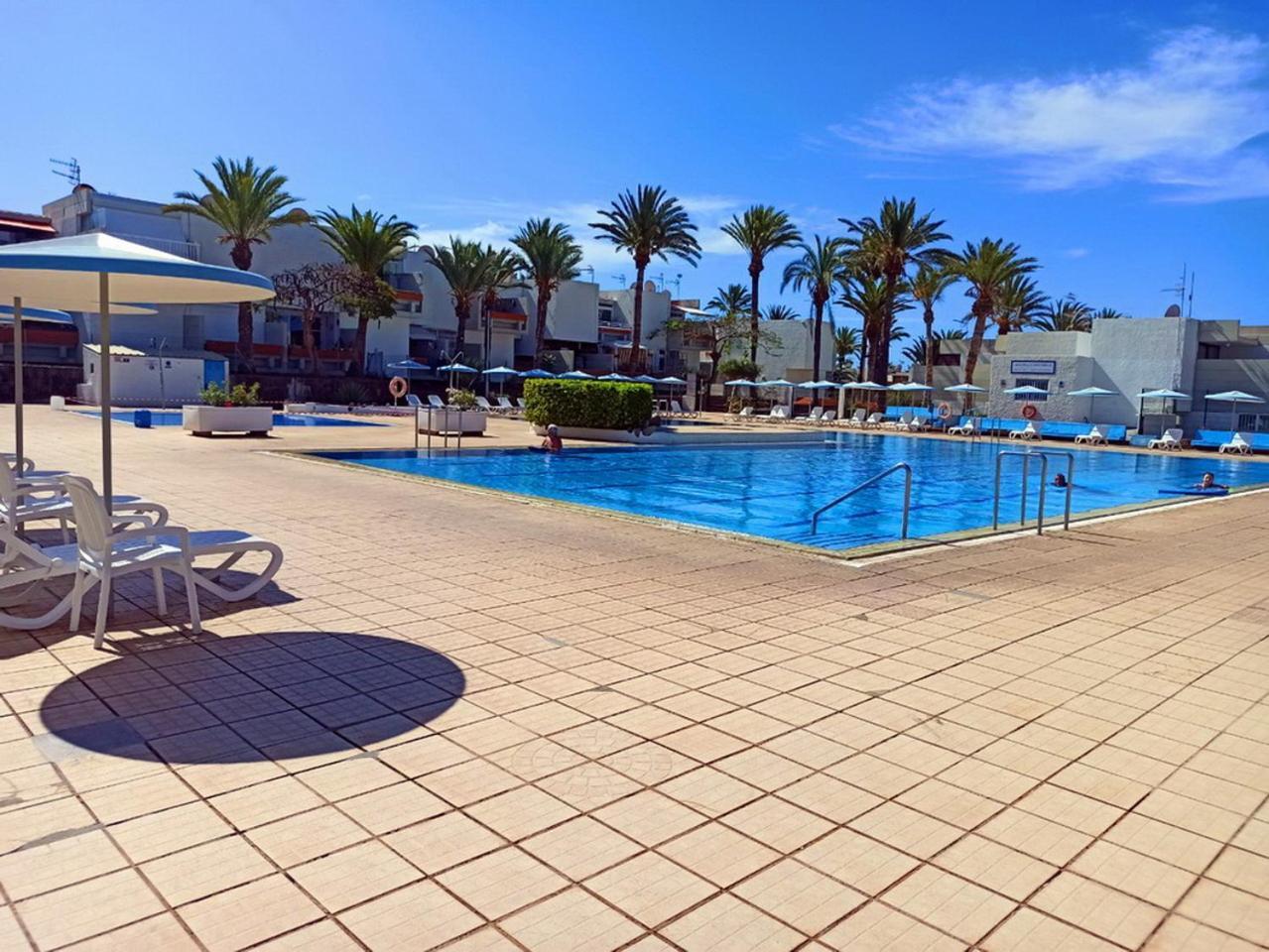 In The South Of Tenerife In The Apartament Costa Del Silencio
